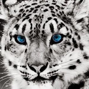 Meet your Posher, Sean